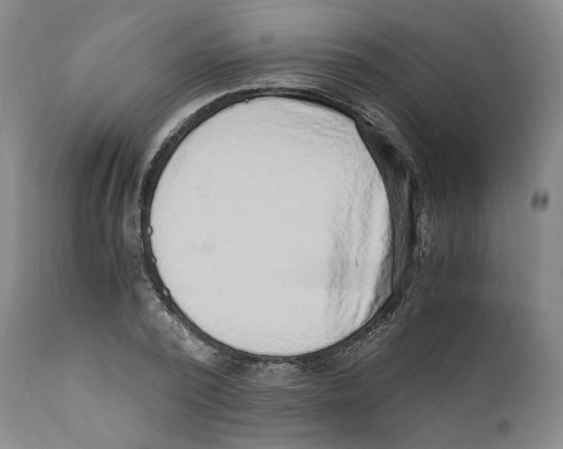 X0000110730784200907101427