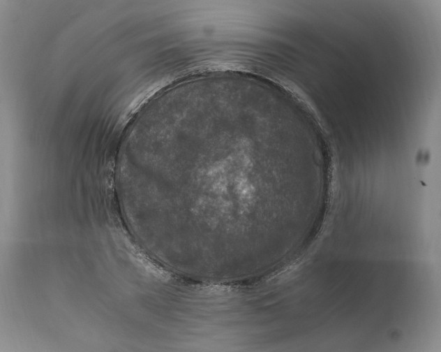 X0000110730785200907101427