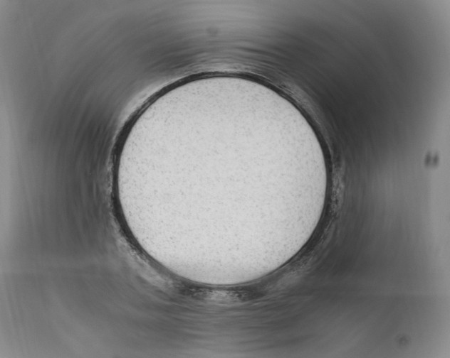 X0000110730787200907101427