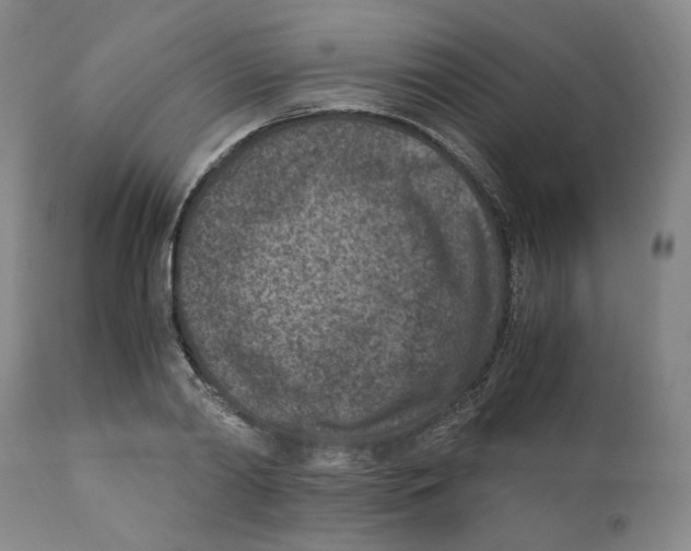 X0000110730790200907101427