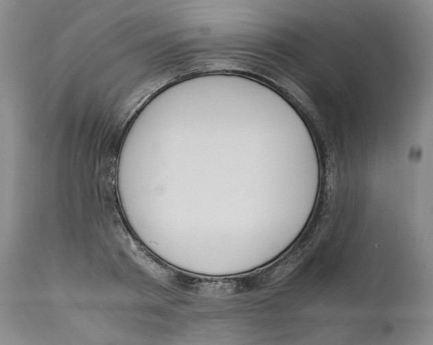 X0000110730793200907101427