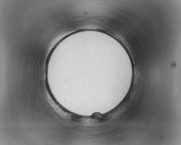 X0000110730795200907101427