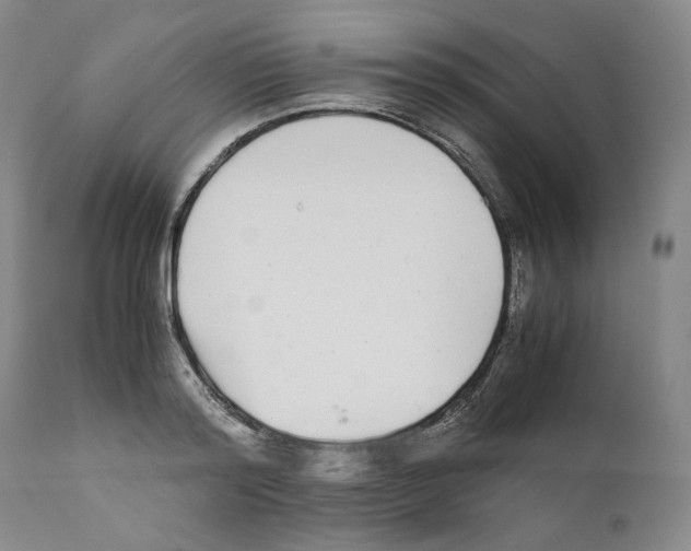 X0000110730796200907101427