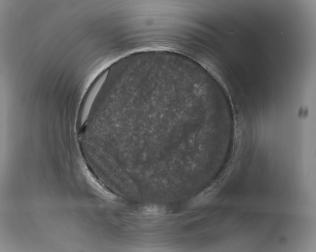 X0000110730797200907101427