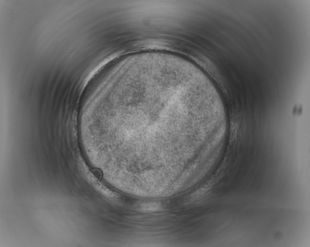 X0000110730798200907101427