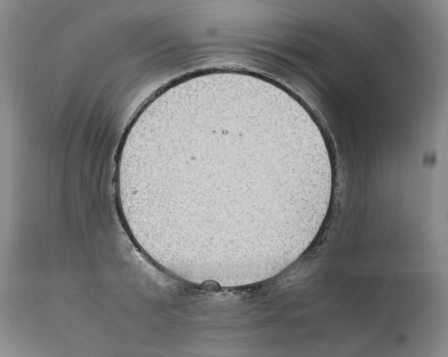 X0000110730799200907101427