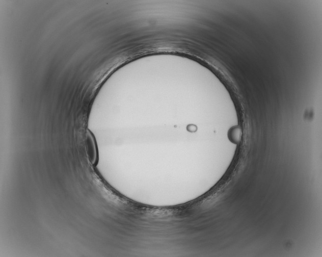 X0000110730801200907101427