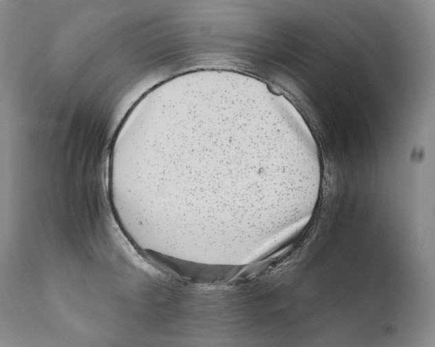 X0000110730804200907101427