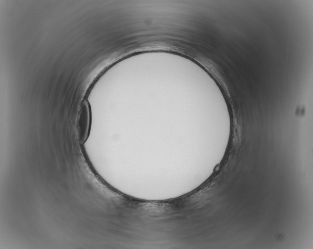X0000110730805200907101427