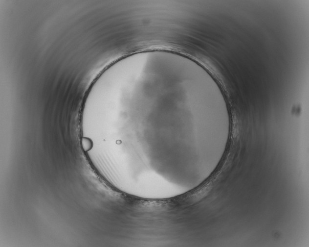 X0000110730806200907101427