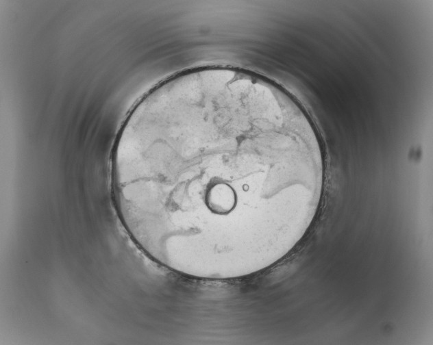 X0000110730807200907101427