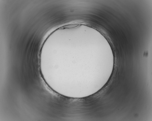 X0000110730808200907101427
