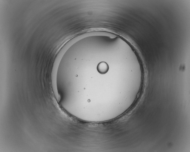 X0000110730809200907101427