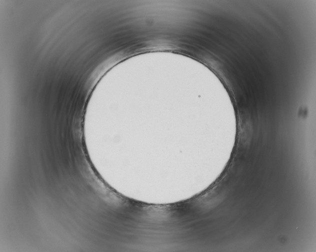 X0000110730810200907101427
