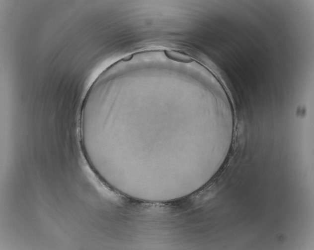 X0000110730811200907101427