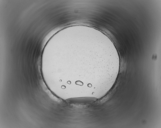 X0000110730812200907101427