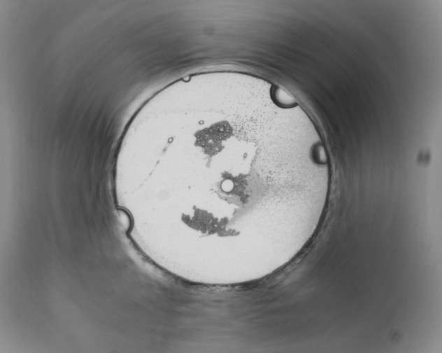 X0000110730813200907101427
