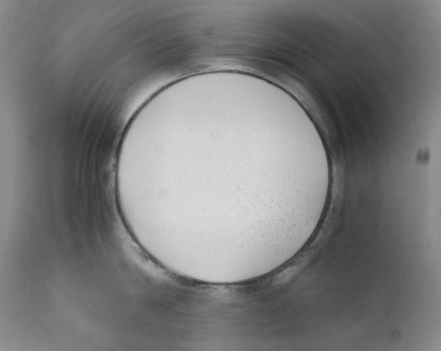 X0000110730814200907101427