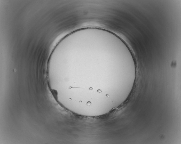 X0000110730815200907101427
