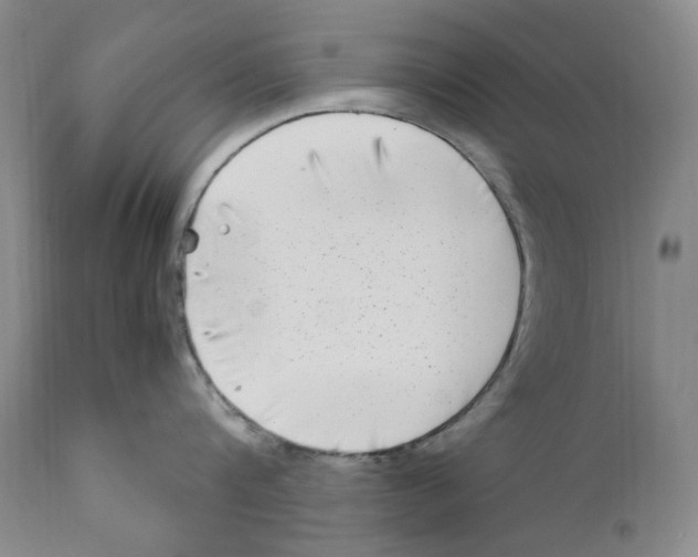 X0000110730816200907101427
