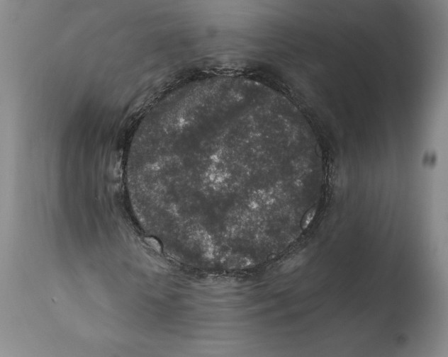 X0000110730818200907101426