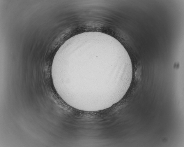 X0000110730819200907101426