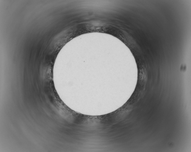 X0000110730820200907101426