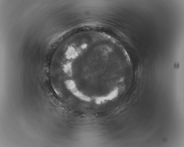 X0000110730822200907101426