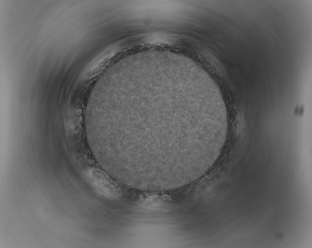 X0000110730824200907101426
