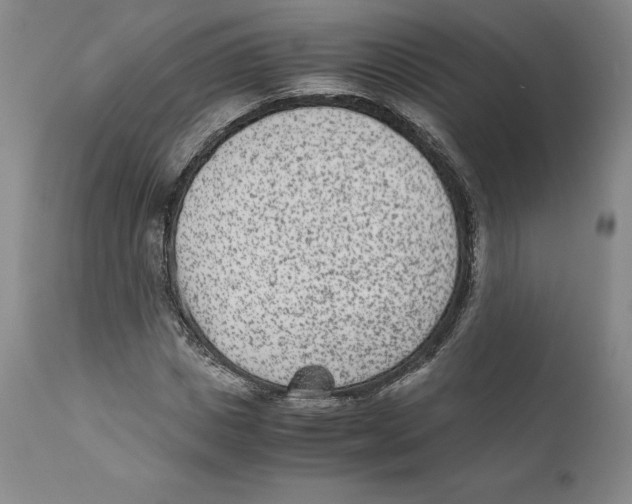 X0000110730825200907101426