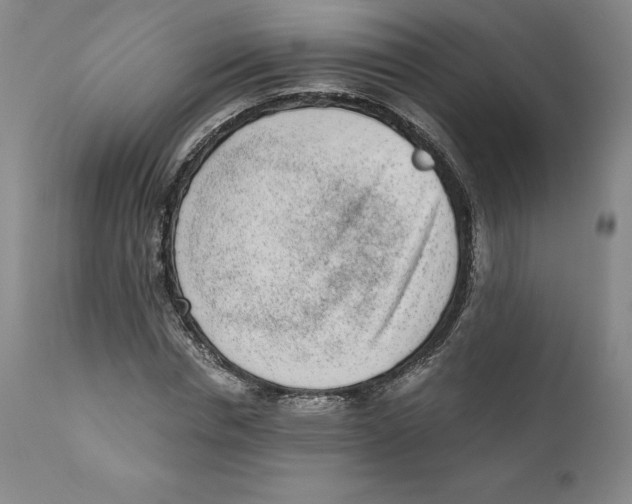 X0000110730826200907101426
