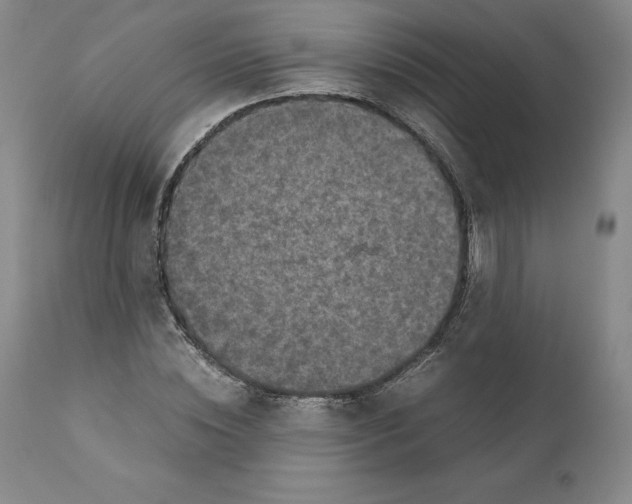 X0000110730828200907101426