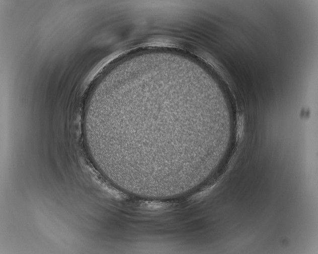 X0000110730829200907101426