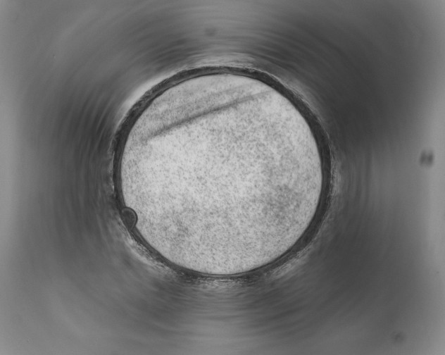 X0000110730830200907101426