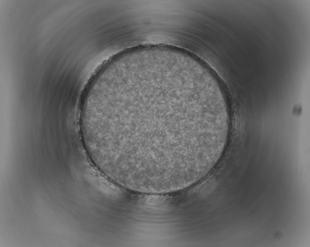 X0000110730832200907101426