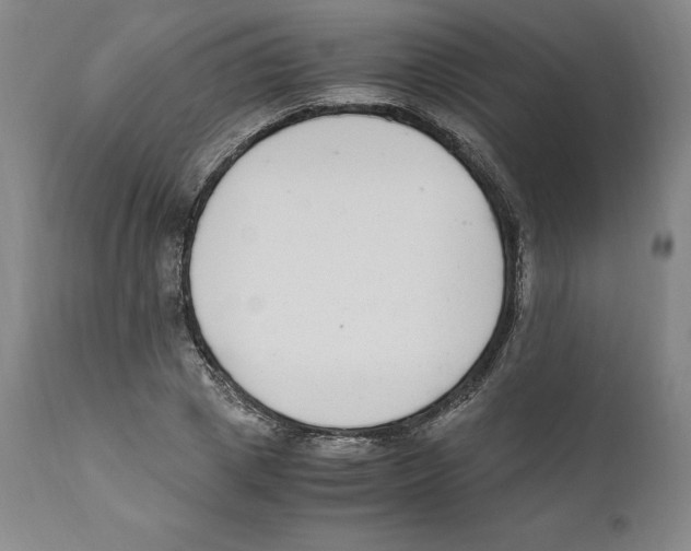 X0000110730833200907101426