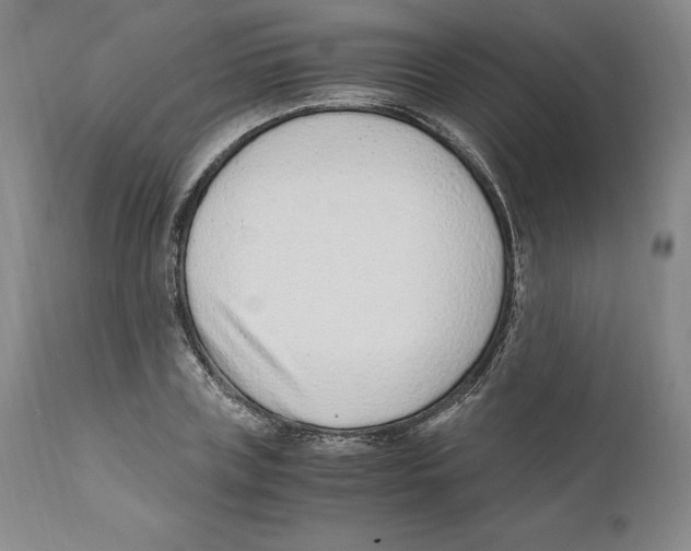 X0000110730835200907101426