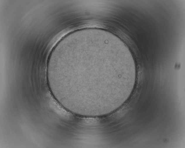 X0000110730836200907101426