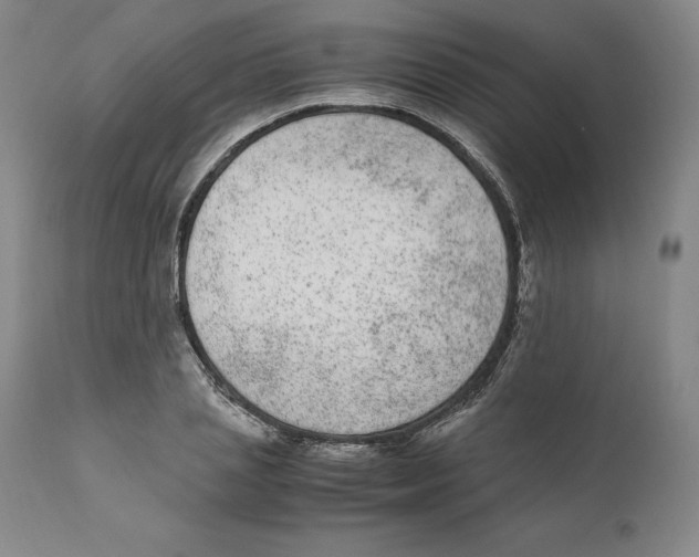 X0000110730837200907101426
