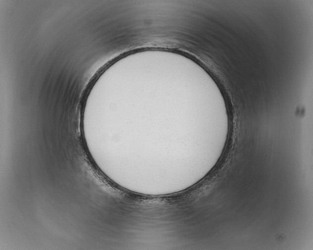 X0000110730838200907101426