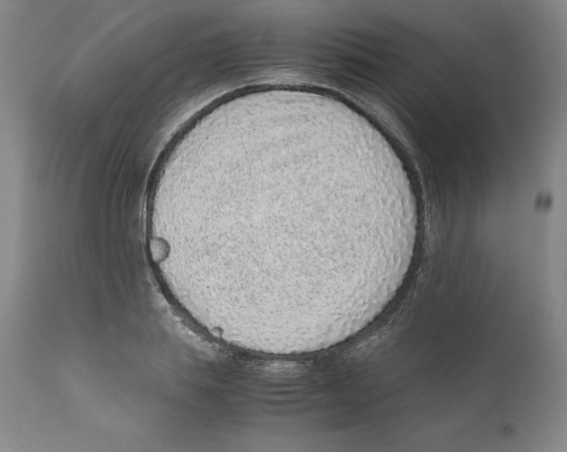 X0000110730839200907101426
