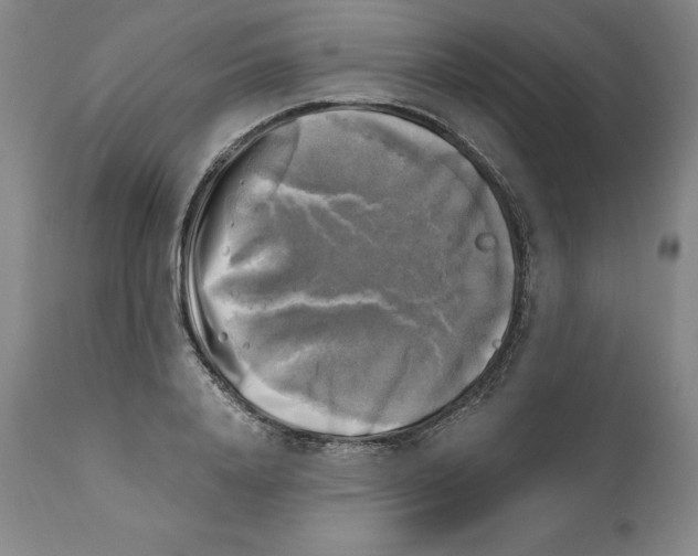 X0000110730840200907101426