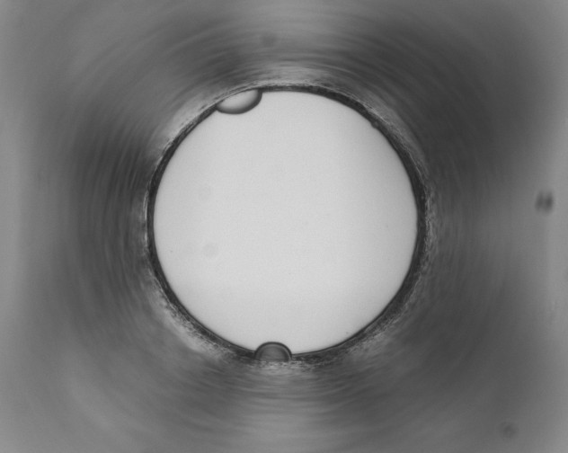 X0000110730842200907101426
