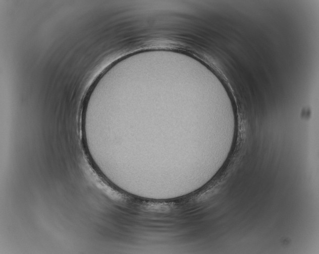 X0000110730843200907101426
