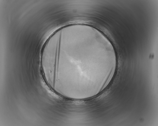 X0000110730844200907101426