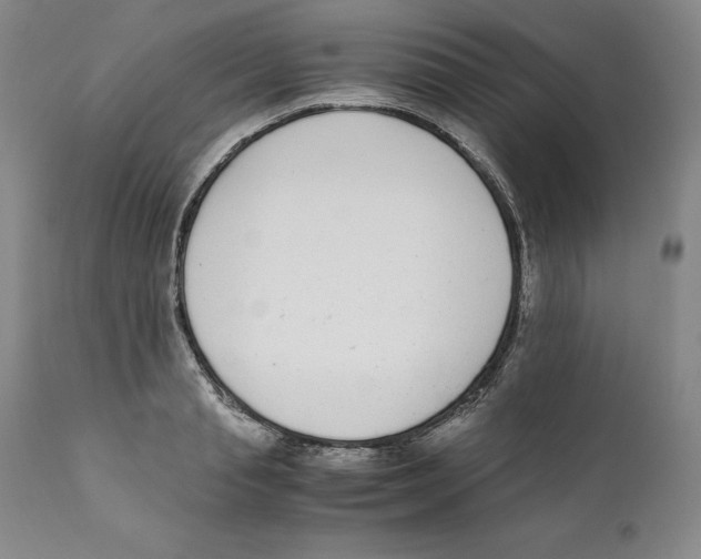 X0000110730845200907101426