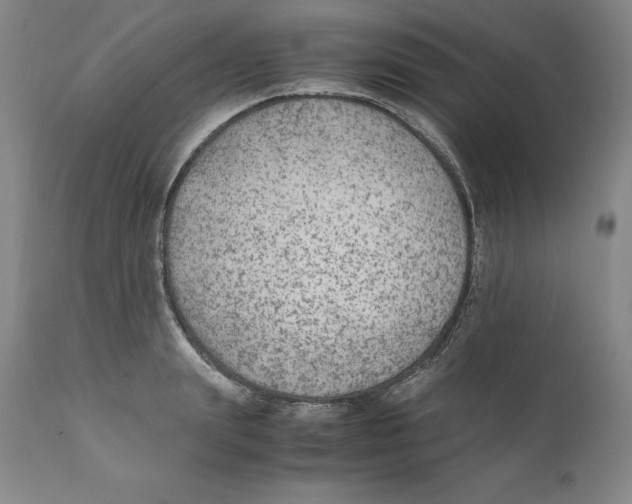 X0000110730847200907101427