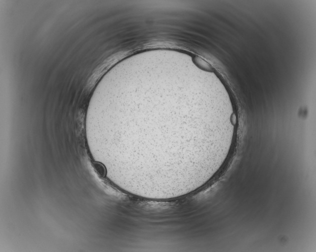 X0000110730849200907101427