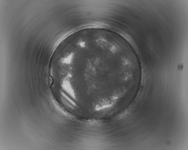 X0000110730850200907101427