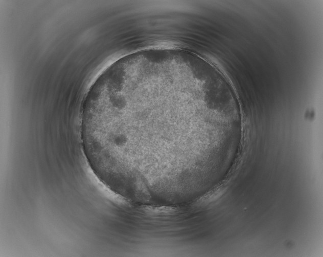 X0000110730851200907101427
